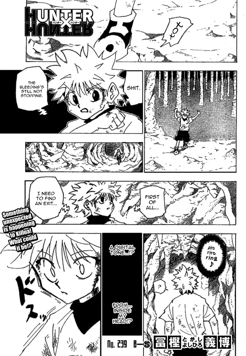 Hunter x Hunter Chapter 239 1